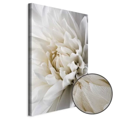 Slika White Dahlia, 40x60 cm