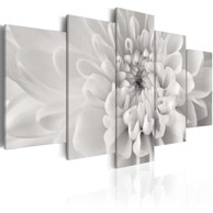 Slika Dahlia flower in grey shades 100x50