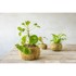 ESSCHERT DESIGN Posuda za cvijeće ø 20 cm Kokedama 