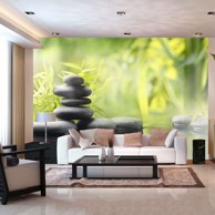 Foto tapeta Serenity of nature 150x105