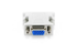 CABLEXPERT Adapter DVI-A na VGA