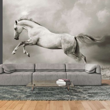 Foto tapeta Wild Stallion 250x193
