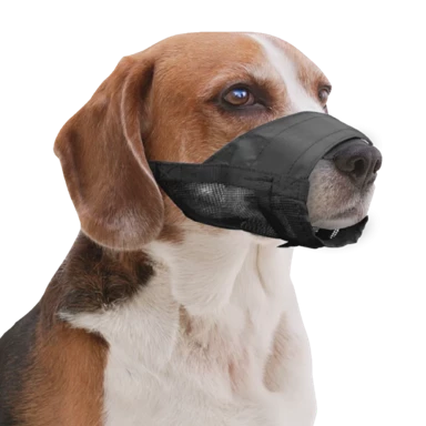 PAWISE Brnjica za psa MEDIUM