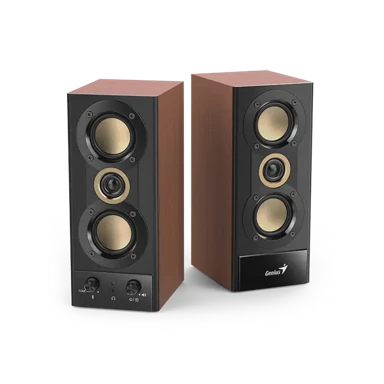 GENIUS Zvučnik SP-HF800BT 31730051401, 20 W, USB, drvo