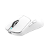 WHITE SHARK Gaming miš WGM-5021 BORS, bežični, 12000 DPI, bijeli