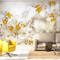 Foto tapeta Sunny Alstroemeria 100x70