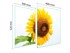 TMK Staklena zaštita za štednjak ili ploču za kuhanje 70x52, blossom