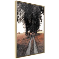 Poster Field Path 20x30