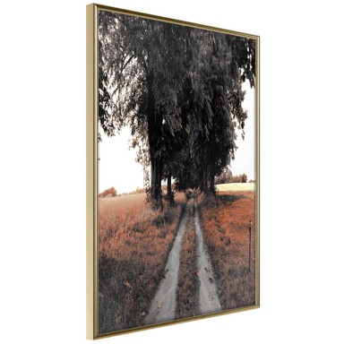 Poster Field Path 20x30