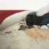 BOSCH Strugač ATZ 52 SC višenamjenski, nije navedeno