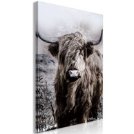 Slika Highland Cow in Sepia 60x90