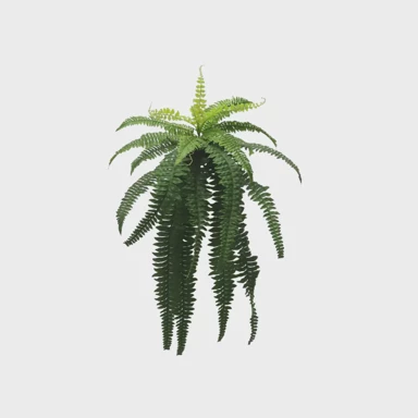 Rezano cvijeće, grana paprati 76 cm