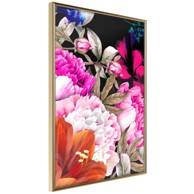 Poster Summer Night's Dream III 40x60