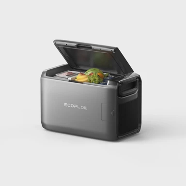 ECOFLOW Prijenosni Hladnjak, 45 litara