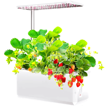 BOT Pametna tegla za cvijeće GP1 s bijelom LED diodom