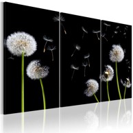 Slika Dandelions family 90x60