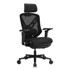COUGAR Gaming stolica Speeder NEO, crna