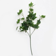 Rezano cvijeće Grana zelenila, 66 cm 