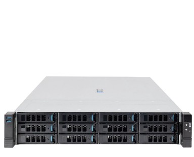 BLUECHIP Rack server SERVERline R72319r S2D-Ready, AMD EPYC 9015, 128 GB DDR5 ECC RAM, 960 GB SSD + 4x 1.92 TB NVMe SSD, Windows Server 2025 Datacenter