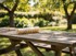 GARDEN LINE Set traka za cijepljenje za škare za rezidbu 10 komada SEN3655, zelena