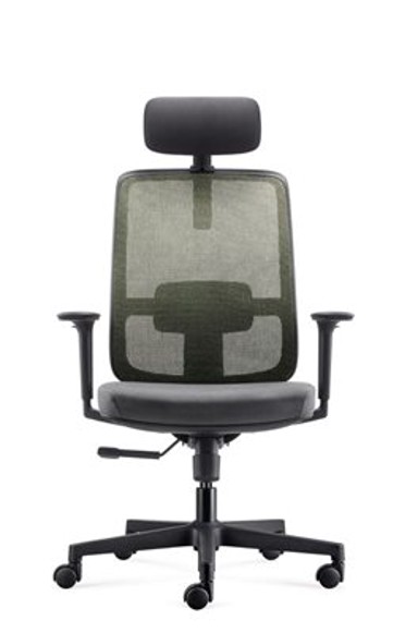 ERGOVISION Ergonomska uredska stolica Ergo Basic, crno-zelena