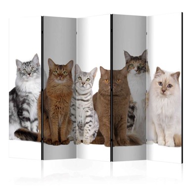 Sobna pregrada u 5 dijelova Sweet Cats II 225x172