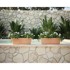 GARDEN PLEASURE Tegla za cvijeće 100 cm Salvia, plastika, prirodna