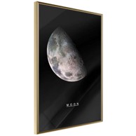 Poster The Solar System: Moon 30x45