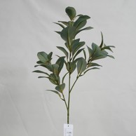 Rezano cvijeće Grana zelenila, 83 cm