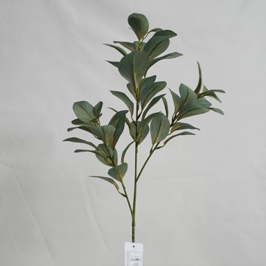 Rezano cvijeće Grana zelenila, 83 cm