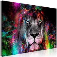 Slika Sun of Africa Wide 90x60