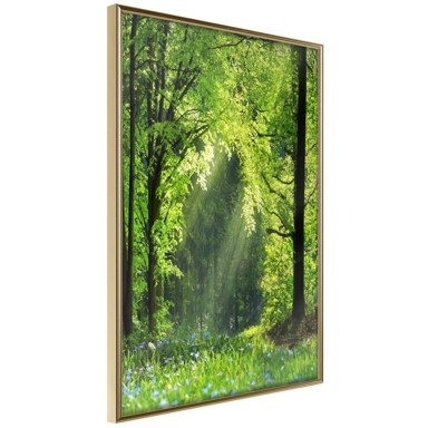 Poster Forest Path 40x60