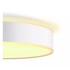 PHILIPS HUE LED Stropna svjetiljka 33,5 W Devere