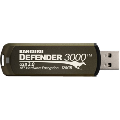 ISTORAGE USB memorijski pogon Kanguru Defender 3000, 32 GB, USB Tip-A 3.2 Gen 1, smeđi