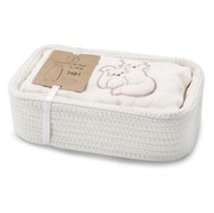 KENGURU GOLD Poklon košara s vrećom za spavanje TOG 2 Popcorn Fox, 6–24 mj