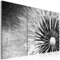 Slika dandelion (black and white) 120x80