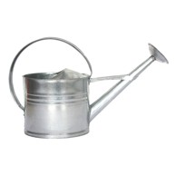 ESSCHERT DESIGN Kanta za zalijevanje vrta u srebrnoj boji New, 8 l