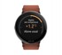 POLAR Pametni sat Ignite 3 Titanium, smeđi