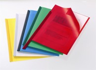 DURABLE Profilna mapa 2919 50/1 prozirna