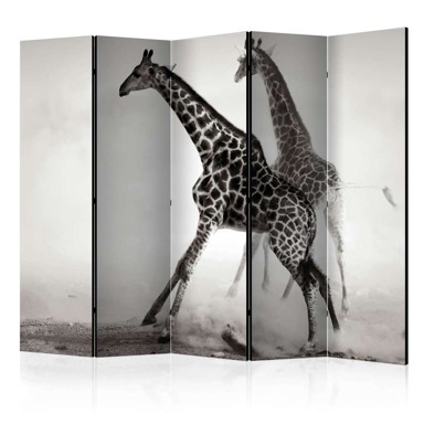 Sobna pregrada u 5 dijelova Giraffes II 225x172