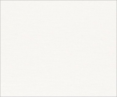 MIELE Platno za valjak Moonshine