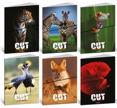 Animal Cut Set bilježnica, A4, kvadratići, 10 kom