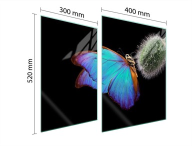 TMK Staklena zaštita za štednjak, 70x52 cm, butterfly