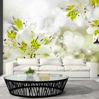 Foto tapeta Southern Princess 200x140