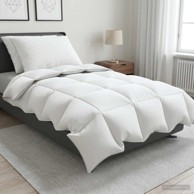 Zimski set popluna i jastuka FULDA s 90% guščjeg paperja 155 x 220 cm, 300 g/m², 3 kom., bijeli