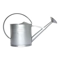 ESSCHERT DESIGN Kanta za zalijevanje vrta u srebrnoj boji New, 10 l
