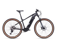 CTM Električni bicikl Wire Pro