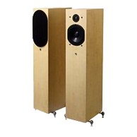 AUDIO PRO Dvosmjerni samostojeći zvučnik FOCUS SA-5, javor