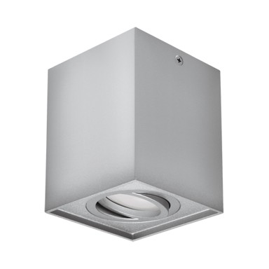 Stropna svjetiljka Spot Hary D, GU10, siva