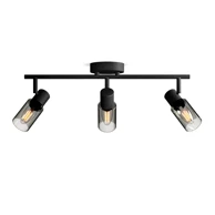 Stropni/zidni reflektor, Palms, 3x25W, crna